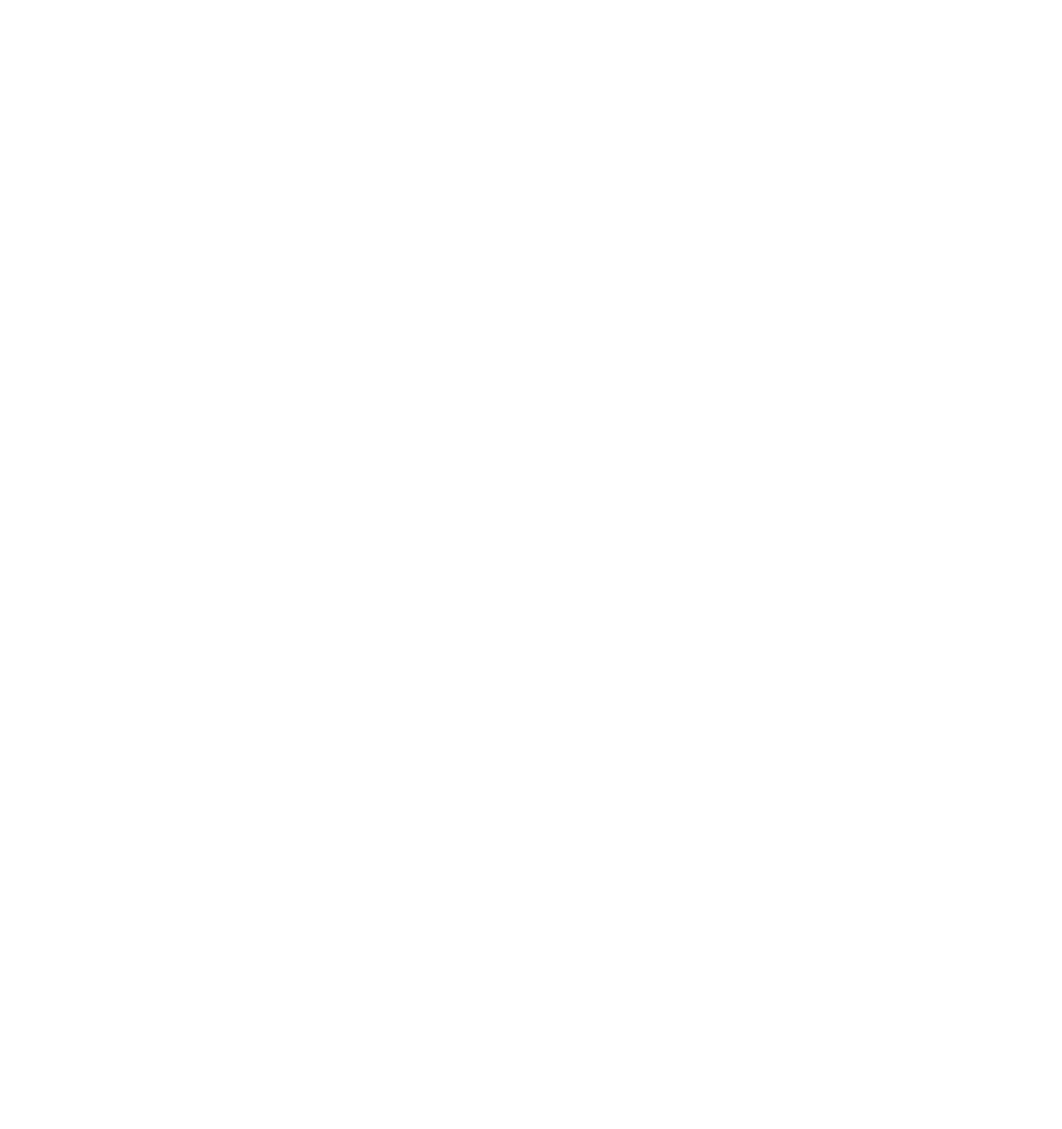 Eastern Iowa Airport Fly CID logo